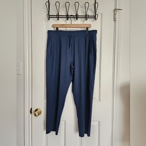 Sweaty Betty Explorer Pants In Navy